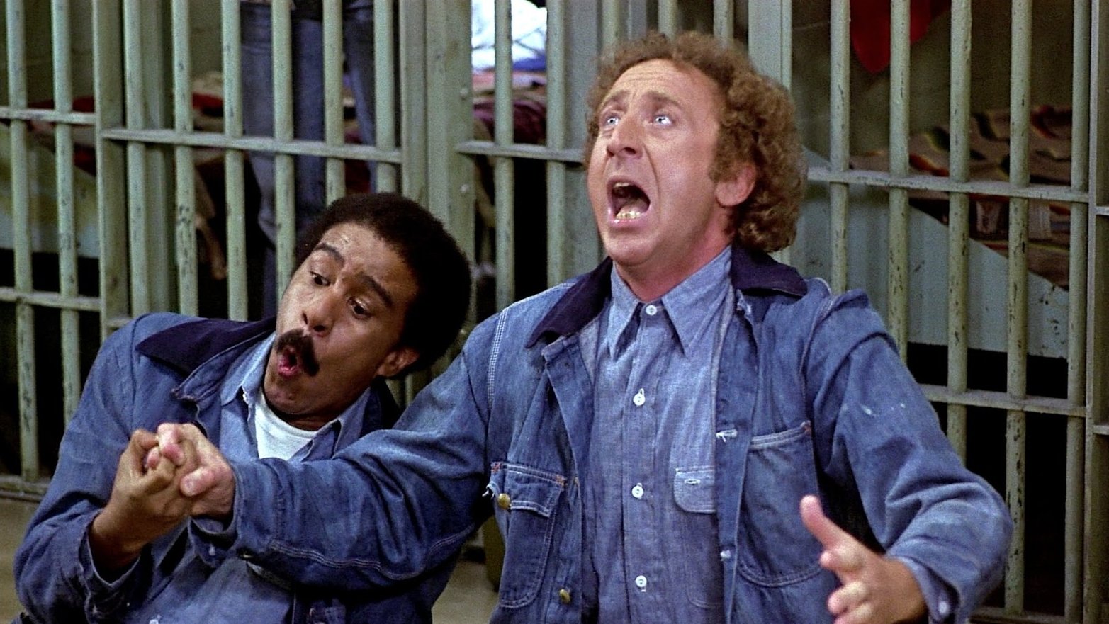 دانلود دوبله فارسی فیلم Stir Crazy 1980