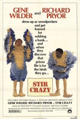 دانلود دوبله فارسی فیلم Stir Crazy 1980